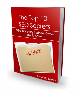 top ten seo tips 245x300 About